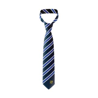 CAMBRIDGE HIGH SCHOOL YEAR 13 TIE
