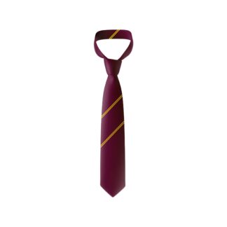 Matamata College Tie