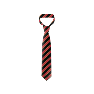 St Ignatius Tie