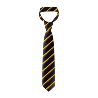 Henderson High School Senior Tie