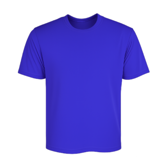 Rotorua Lakes High School PE Tee Kids Royal