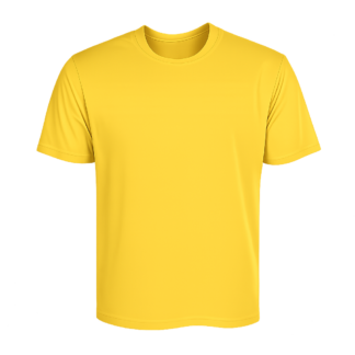 Rotorua Lakes High School PE Tee Kids Yellow