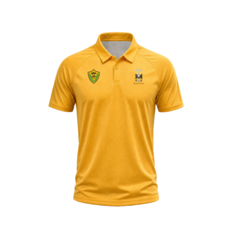 Wellington College Cricket Polo